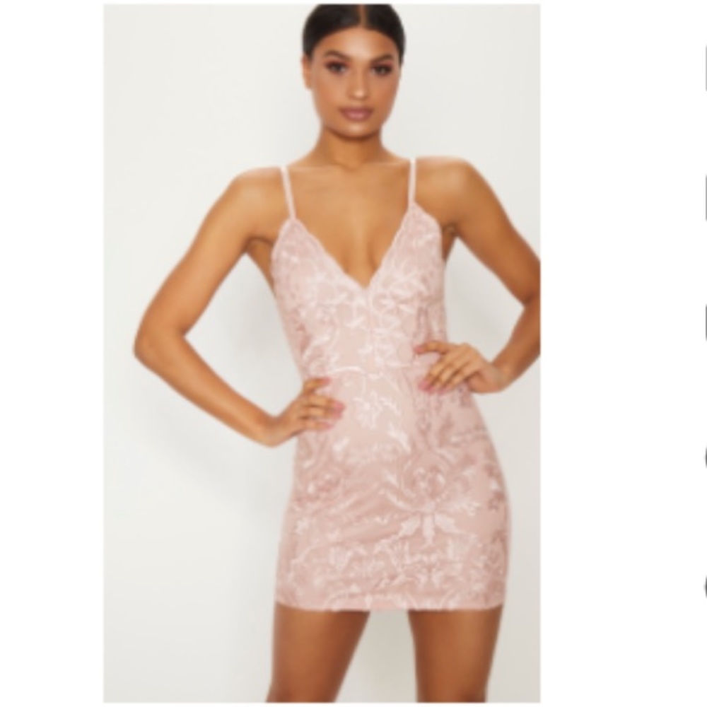 Dusty Pink Embroidered Lace Plunge Bodycon Dress
